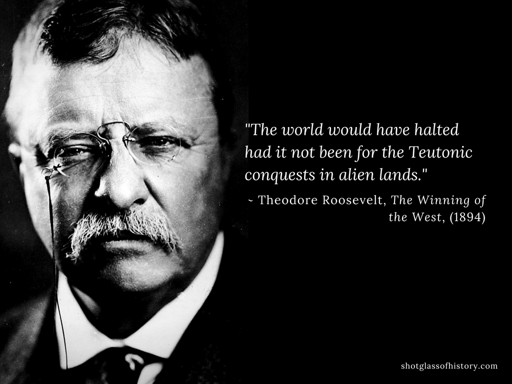 Teddy Roosevelt Quote